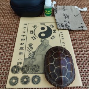 卜卦龟甲